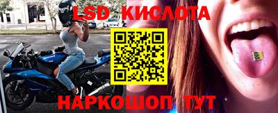 гидропоника Кунгур