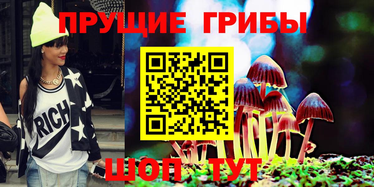 Псилоцибиновые грибы Psilocybe Ишим