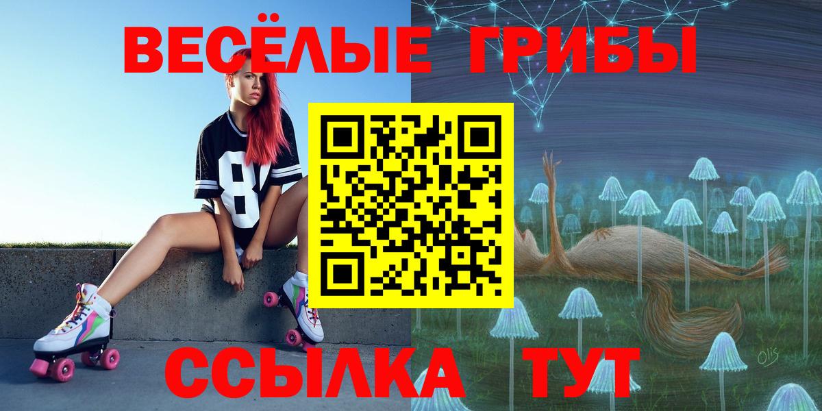 Псилоцибиновые грибы ЛСД  Вход с VPN  Ишим 